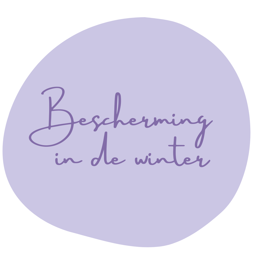 Bescherming in de winter