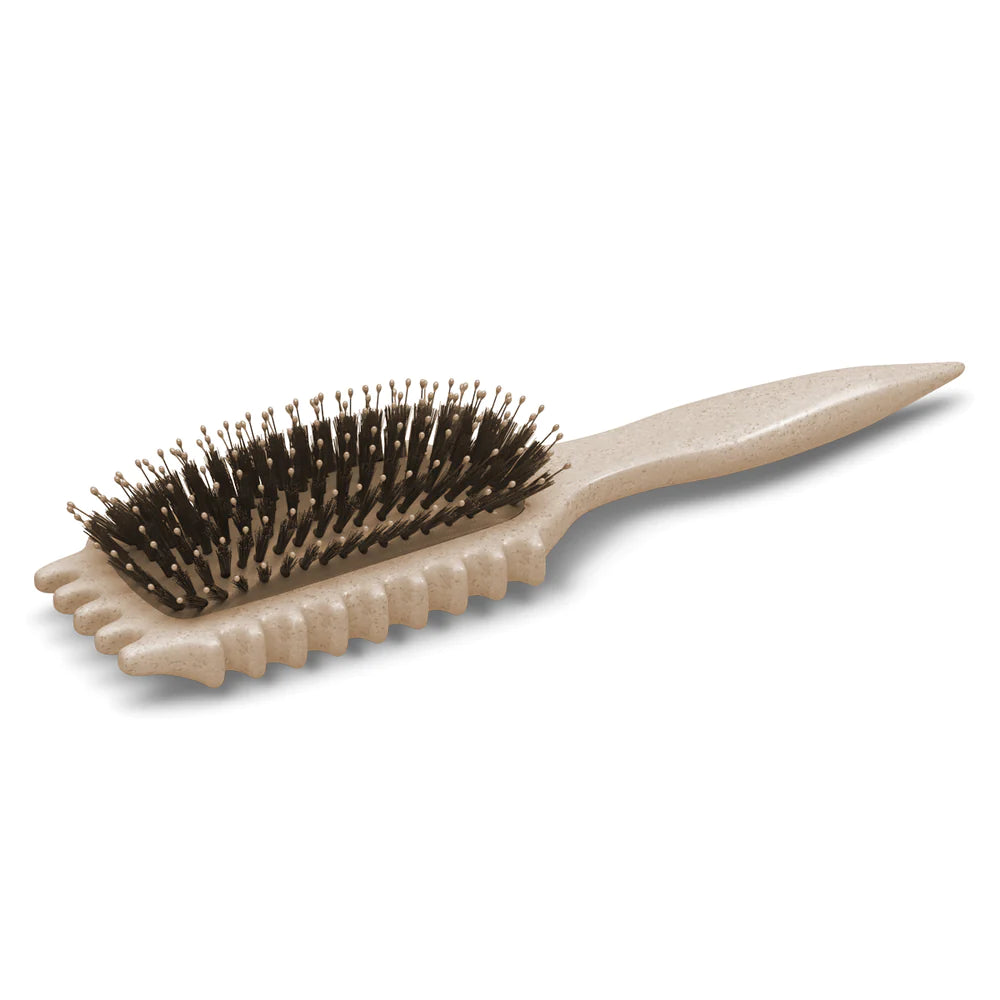 Bounce Curl Define EdgeLift Brush (Tan)